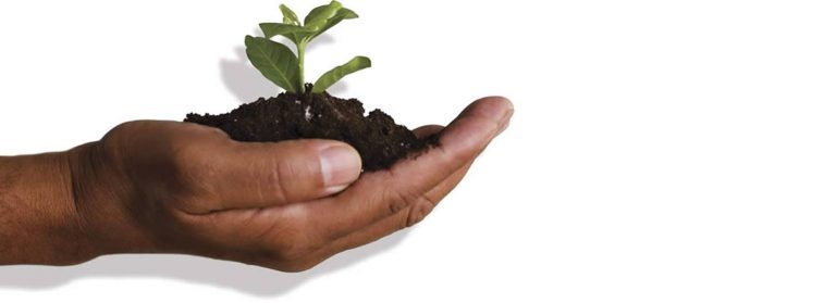 dried-compost-header-768x279
