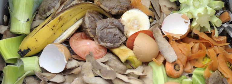 food-waste-768x280