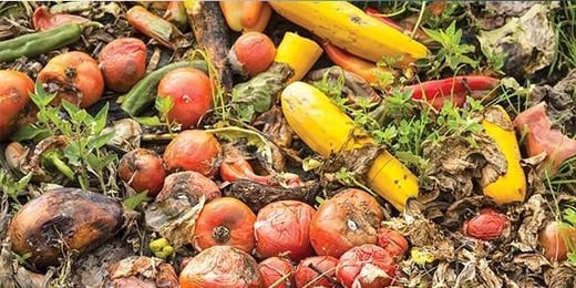 Why is a Food Waste Dryer Different to a Dehydrator?