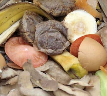 Environment Act 2021 - New food Waste Rules