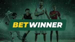 BetWinner The Ultimate Betting Experience in South Africa