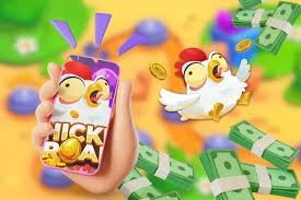 Discover the Excitement of Chicken Road Casinos 522151596